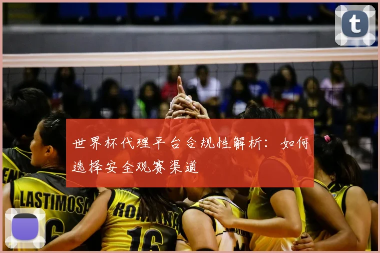 世界杯代理平台合规性解析：如何选择安全观赛渠道