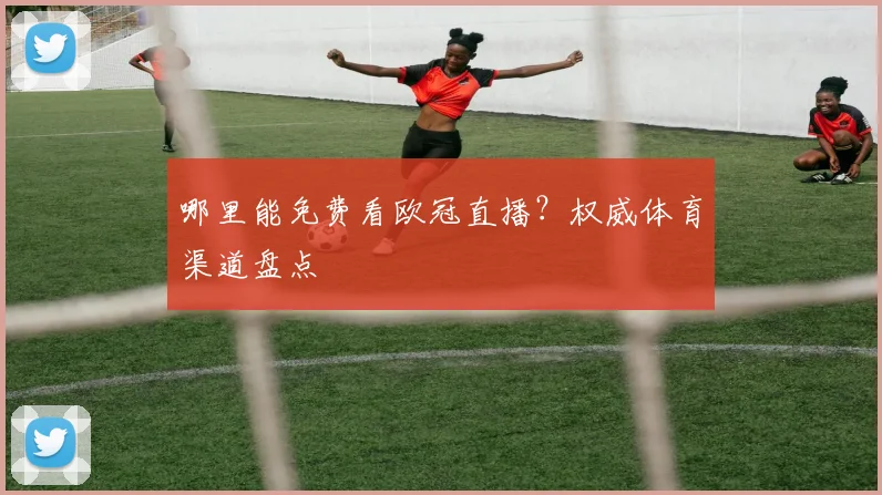 哪里能免费看欧冠直播？权威体育渠道盘点