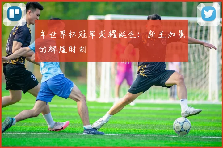 年世界杯冠军荣耀诞生:新王加冕的辉煌时刻