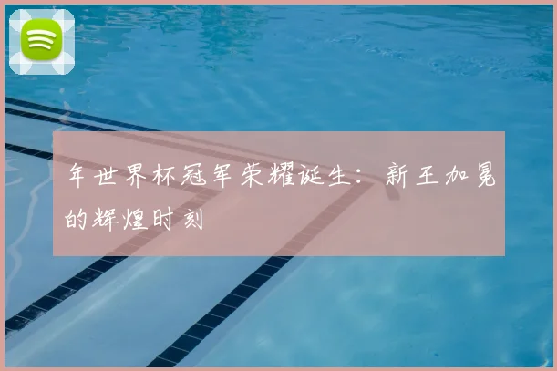 年世界杯冠军荣耀诞生:新王加冕的辉煌时刻