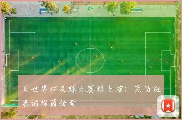 日世界杯足球比赛频上演：黑马狂奔的绿茵传奇